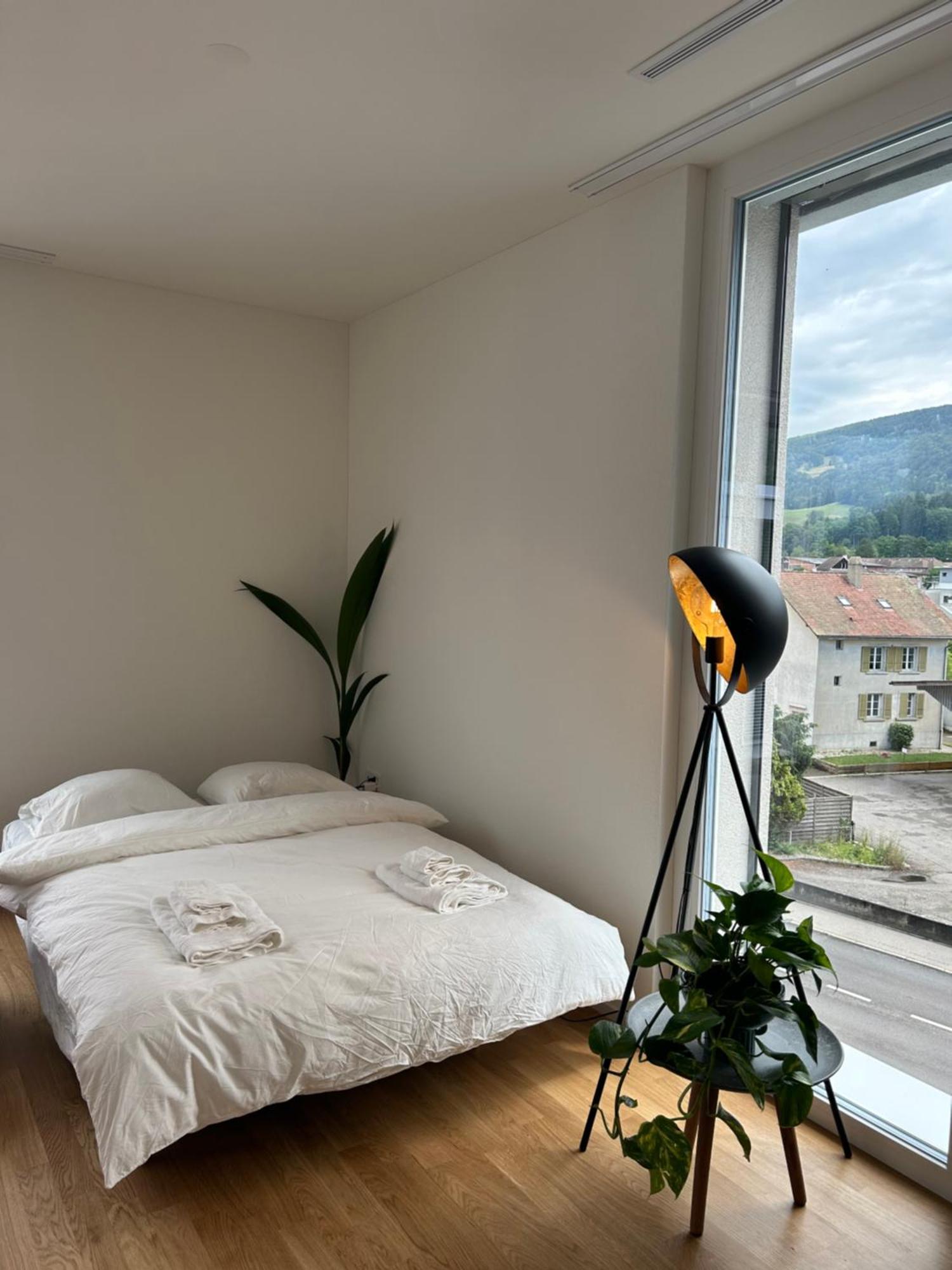 Balsthal The R Apartment Engelberg, Klima, Neu, Balkon, Parking מראה חיצוני תמונה